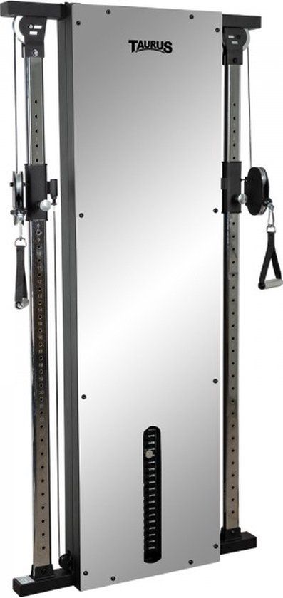 Design Line Dual Pulley 66 kg, with mirror