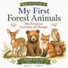 My first forest animals: Mis primeros animales del bosque