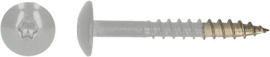 pgb-Europe PGB-FASTENERS | HPL schroef Tx20 4,8x38 R7035 A4