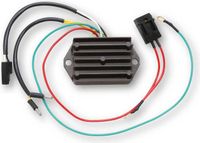 ElectroSport laadregelaar ESR 510 voor California 1100 i.e. - 55 kW, model 750 Sport