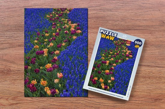 MuchoWow Puzzel Tulpen tussen druifhyacinten in de Keukenhof in Nederland - Legpuzzel - Puzzel 500 stukjes - Sinterklaas cadeautjes - Sinterklaas voor grote kinderen