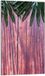 TMK ArtDeko Planche à découper Verre 30x52 cm Feuilles