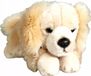 Laisse pour chien, plate, modèle 30733