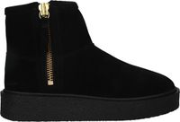 Blackstone ENJAR LUTIA - EL426 Black - Veterboots - Dames - Zwart - Maat 41