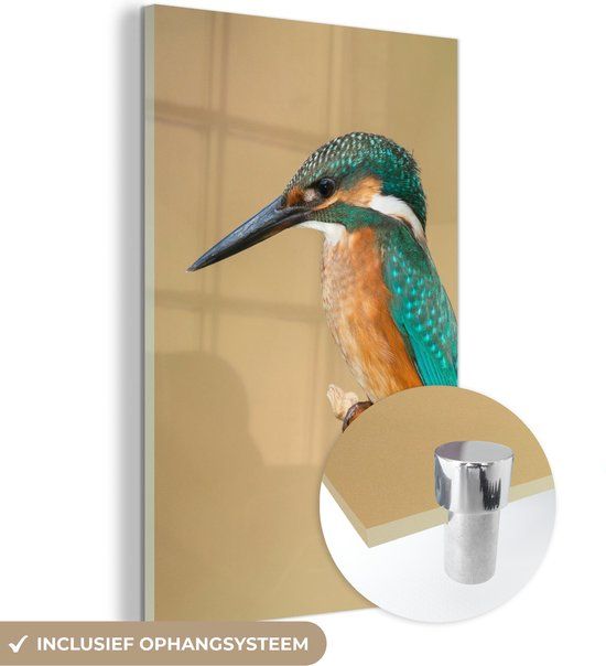 MuchoWow® Glass Painting 40x60 cm - Acrylic Glass Painting - Kingfisher - Animals - Bird - Photo on Glass - Paintings