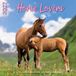 Plenty Gifts Paarden Kalender 2027 Wandkalender