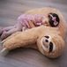 MikaMax Sloth Pillow - Origineel XL - 60 cm - Polyester knuffel - Luiaard knuffel - Baby Cadeau