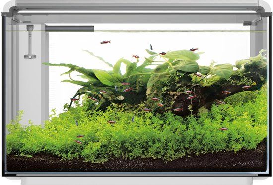 Superfish Home Proled 85 Aquarium - Wit