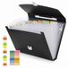 NEWYES Dossier extensible 13 poches A4