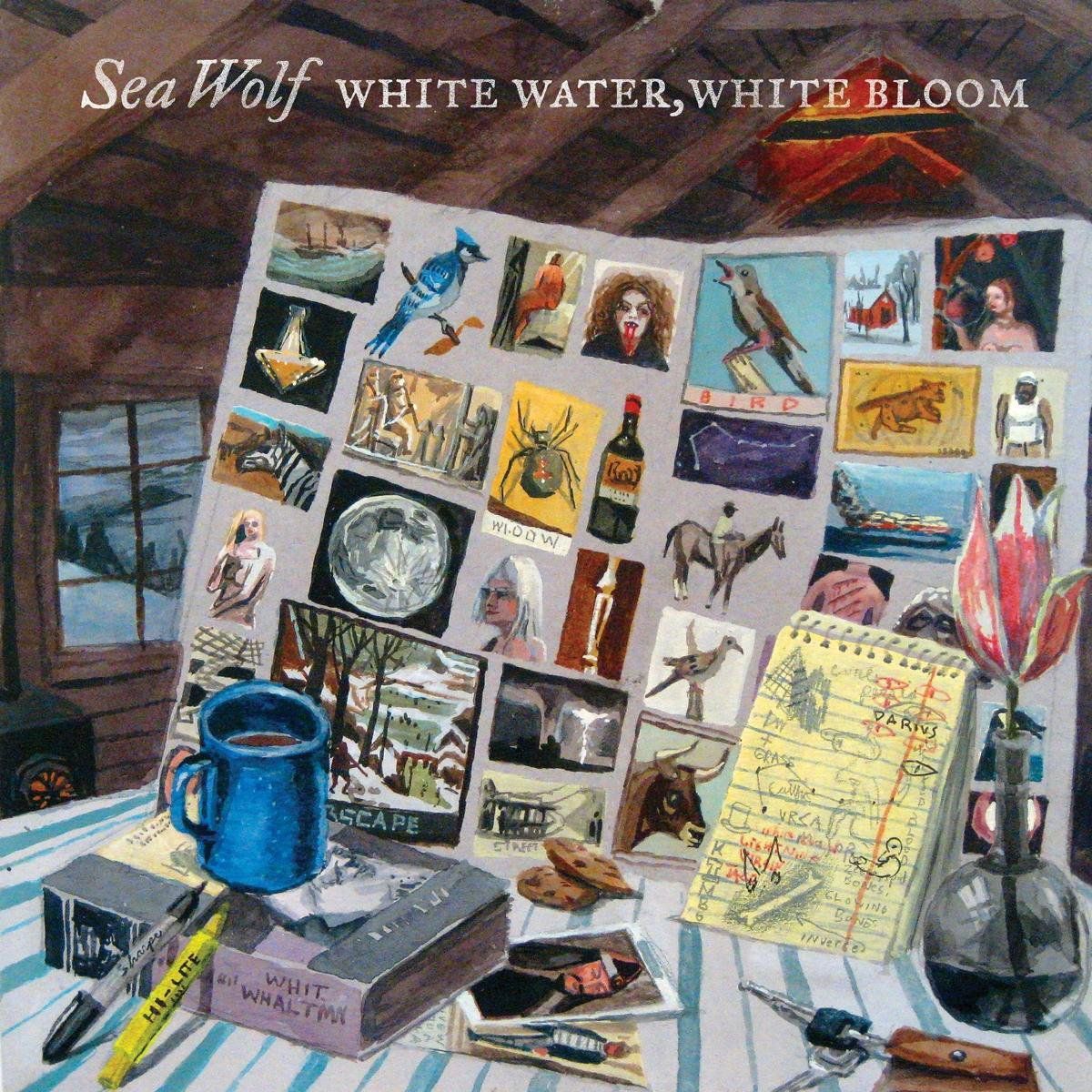 Suburban White Water, White Bloom