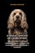 El Independently Published El Manual Completo del Cocker Spaniel Paperback