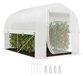 Kas - Tunnel de serre, 3 x 2 x 2 mètres - Parois latérales enroulables - Film plastique résistant aux UV - Châssis en acier - Vert olive