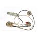 DiMarzio GW 2111 HSH Push/Pull Tone Split Wiring Harness Kabelset voor Stratocaster Style gitaren