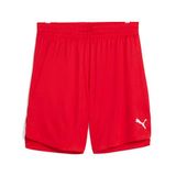 PUMA Teamjaws Starter Shorts voor heren