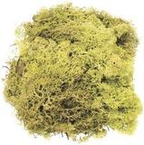 Merkloos Decoratie nep mos - lichtgroen - 50 gram
