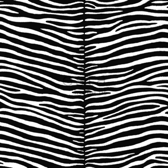 Esta Home HD vlies behang zebra zwart en wit - 136807 van uit Love
