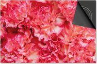Dietrix Inductie Beschermer - 65x52cm - Flowers 12 - Pioen fuchsia