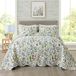 Travan 3-delige dekbedovertrekset, gewatteerde sprei, lichtgewicht dekbedset, tuinstijl, bloemenprint, oversized gewatteerde beddengoedset met shams voor het hele seizoen, prachtig, queensize