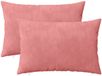 vidaXL Kussensloop 2 pcs HEERLEN Roze 30 x 50 cm Fluweel