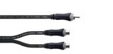 Cordial EY 0.3 CEE audio kabel 0,3 m RCA 2 x RCA Zwart