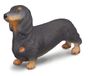 Collecta Teckel Figurine Chien Brun/Noir Plastique 4.5x1.5x3cm