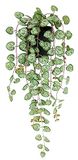 Kunstplant Flair Flower Kunstplant, kandelaar, hangplanten, 45 x 18 x 14 cm, groen