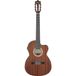 Ibanez GA5MHTCE Open Pore Natural Guitare classique électro-acoustique