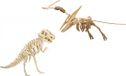 Merkloos / Sans marque Bol Houten 3D dieren dino puzzel set - T-rex en Pteranodon - Speelgoed bouwpakketten - kinderen