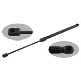 febi bilstein 31657 gasveer voor achterklep, 1 stuk
