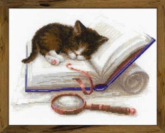 RIOLIS Borduurpakket Kitten Op Het Boek - 4630015064429