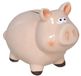 Gerimport Tirelire Cochon - thème animal - 10 x 14 x 12 cm - rose - céramique - Enfants