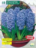 Baltus Hyacinth Blue Jacket 10 st