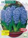 Baltus Hyacinth Blue Jacket 10 st