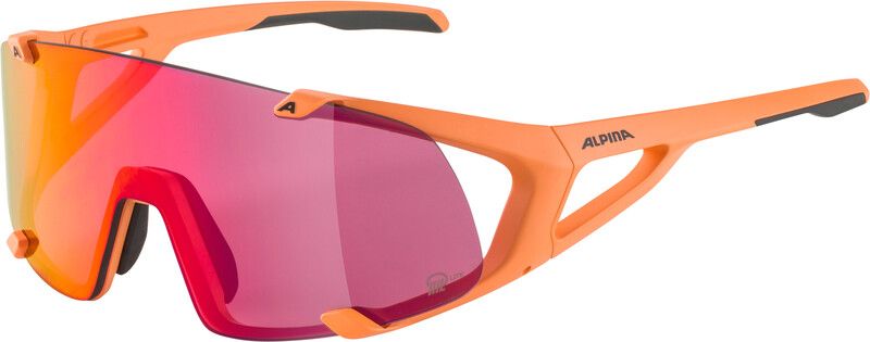 Alpina Hawkeye S Q-Lite Glasses - 4003692311634