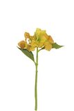 Express Flor 12 kunstmatige hortensia's van zijde, 33 cm, geel