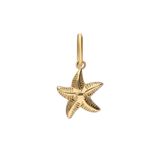 Lucardi - Dames Stalen goldplated bedel zeester - Hanger - Staal - Goudkleurig