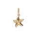 Lucardi - Dames Stalen goldplated bedel zeester - Hanger - Staal - Goudkleurig