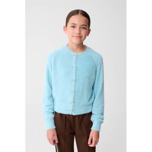 Shoeby regular fit vest blauw fijn gebreid