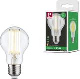 Paulmann Eco-Line Filament LED-gloeilamp E27 5W 1055lm 3000K Helder