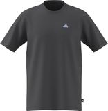 adidas Hombre COLOR ICON GRAPHIC T-SHIRT, grey five, XS