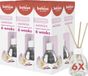 Bolsius Geurstokjes Magnolia 6 stuks Voordeelverpakking 60ml