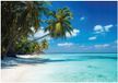 WALLARENA - Fotobehang - 200x140 cm - strand, palmbomen, zee, landschap