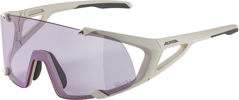 Alpina Hawkeye S Q-Lite V Glasses, grijs