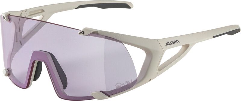 Alpina Hawkeye S Q-Lite V Glasses - Grijs
