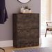 Vida Designs Schoenenkast met 2 laden, opbergkast van donker hout