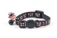 Sterren katjes coll met Jewel & Safey gesp, 1 Stuk, zwart