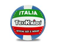 Teorema Volleybal, maat 5, 280 g, exclusief design