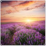 Merkloos / Sans marque GreatGardenPosters B.V. Tuinposter - Bloemen - Lavendel - Zon - Wanddecoratie - 100x100 cm - Tuindoek