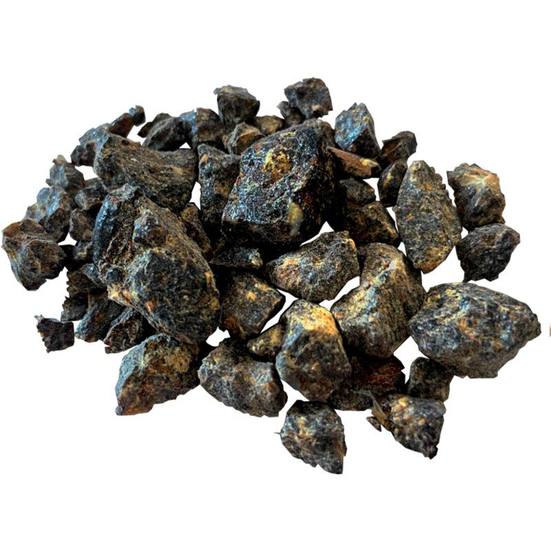 Indian Black Benzoin