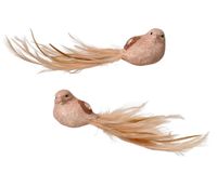 Decoris Vogel foam feather tail 2ass 1 stuk
